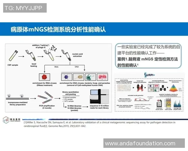 重庆排球队的转型之路探索与挑战并存的全新发展篇章 重庆排球队的转型之路探索与挑战并存的全新发展篇章
