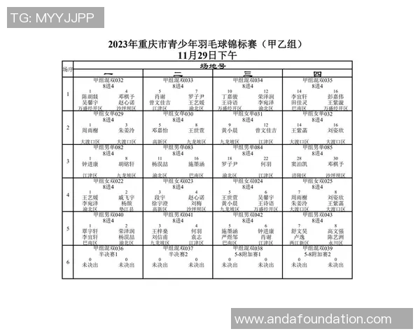 数据分析：重庆羽毛球队的耐力表现