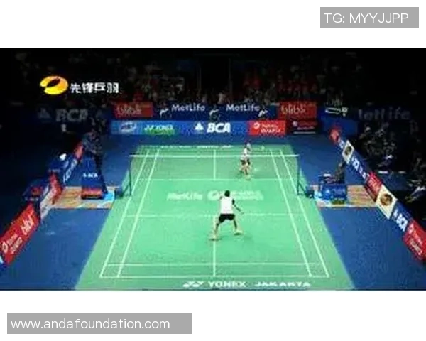 羽毛球深度：解密成都羽毛球队的防守