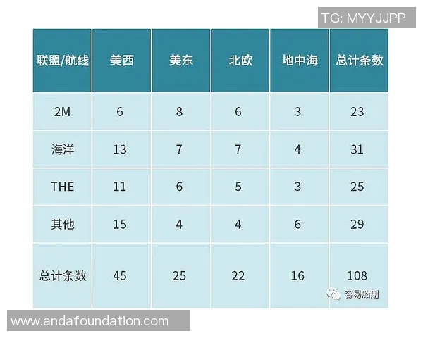 独家分析：杭州篮球队的速度对比